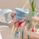 Gaeaspace  -  Cute Korean  Glass Cup With Lid And Straw Infuser Large Glass Bottle Aesthetic For Water Tea Juice Drinking Bottle Gift 750ml