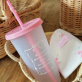 Gaeaspace  -  Kawaii Water Cup With Lid Straw For Girls Coffee Milk Tea Reusable Plastic Cold Drink Cup Large Capacity Water Bottle BPA Free