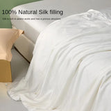 Gaeaspace  -  Luxurious and silky new silk summer quilt warm double quilt